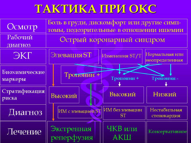 ТАКТИКА ПРИ ОКС Осмотр Рабочий диагноз ЭКГ Биохимические  маркеры Стратификация риска Диагноз Лечение